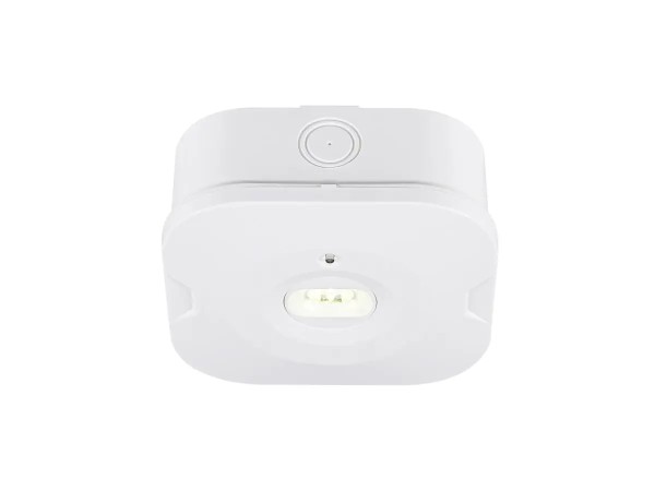 SLV 1010508 P-Light Notbeleuchtung mit 3h Notbetriebszeit, LED-Wand & Deckenleuchte, 1.2W, 6000K